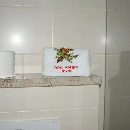4 Zi Familienwohnung Haus Ravaisch 14 Dorf Eg * Davos
